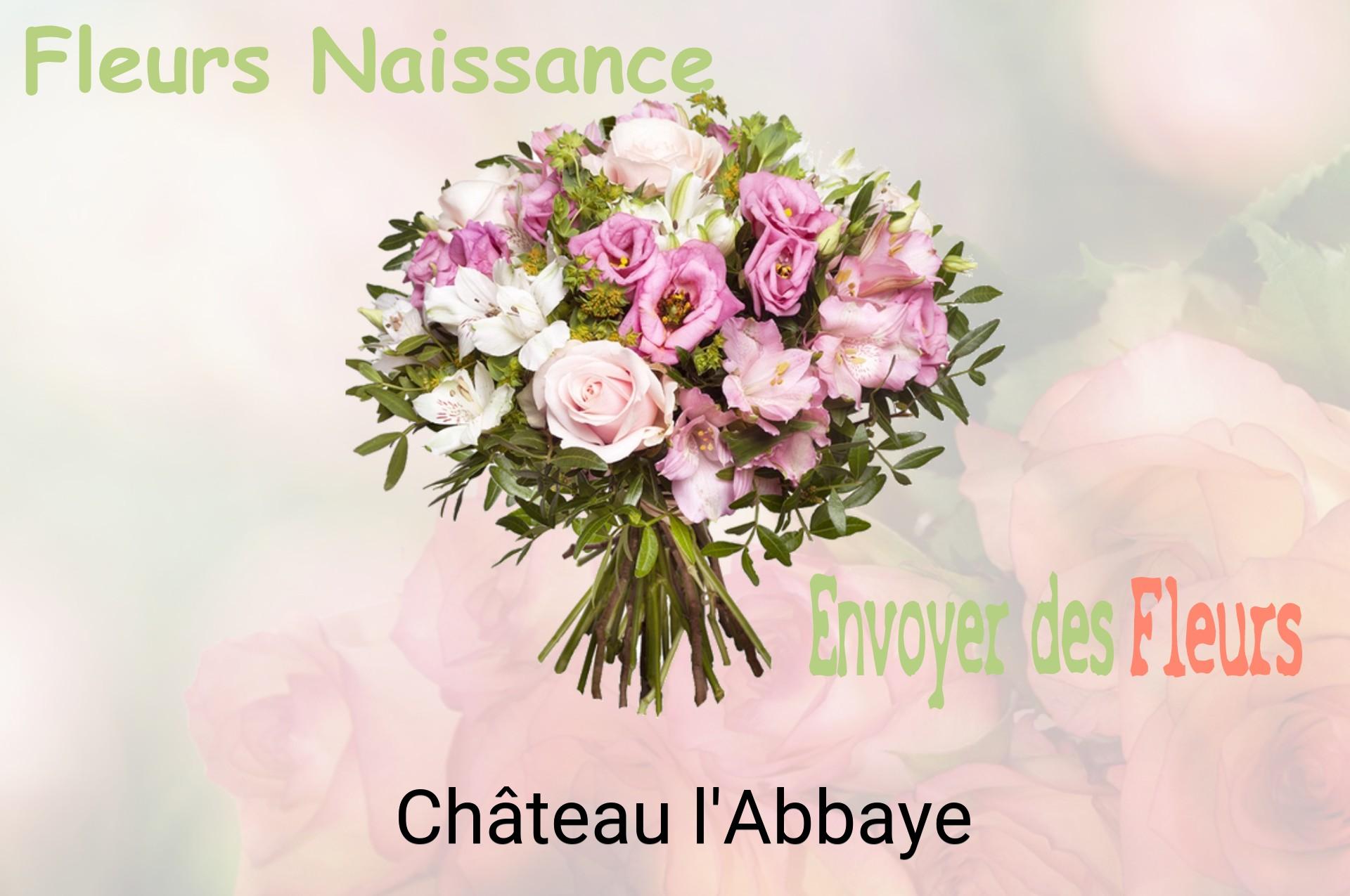 Bouquet de fleurs de naissance livré à Château-l'Abbaye